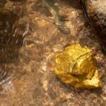 Lac Gold